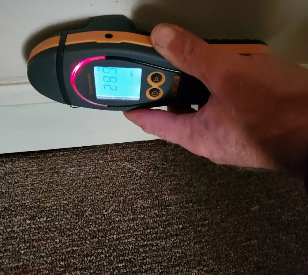 Moisture detection at baseboard during Sewage Cleanup & Sanitation in Bloomfield